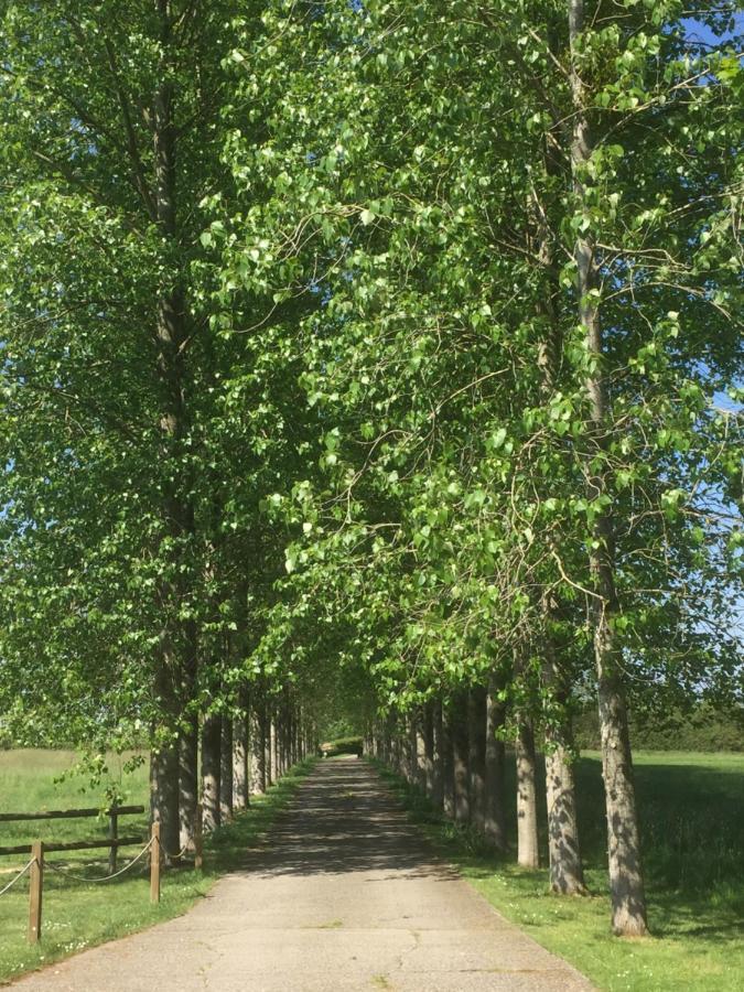 The Long Barn Villa Baltonsborough Buitenkant foto